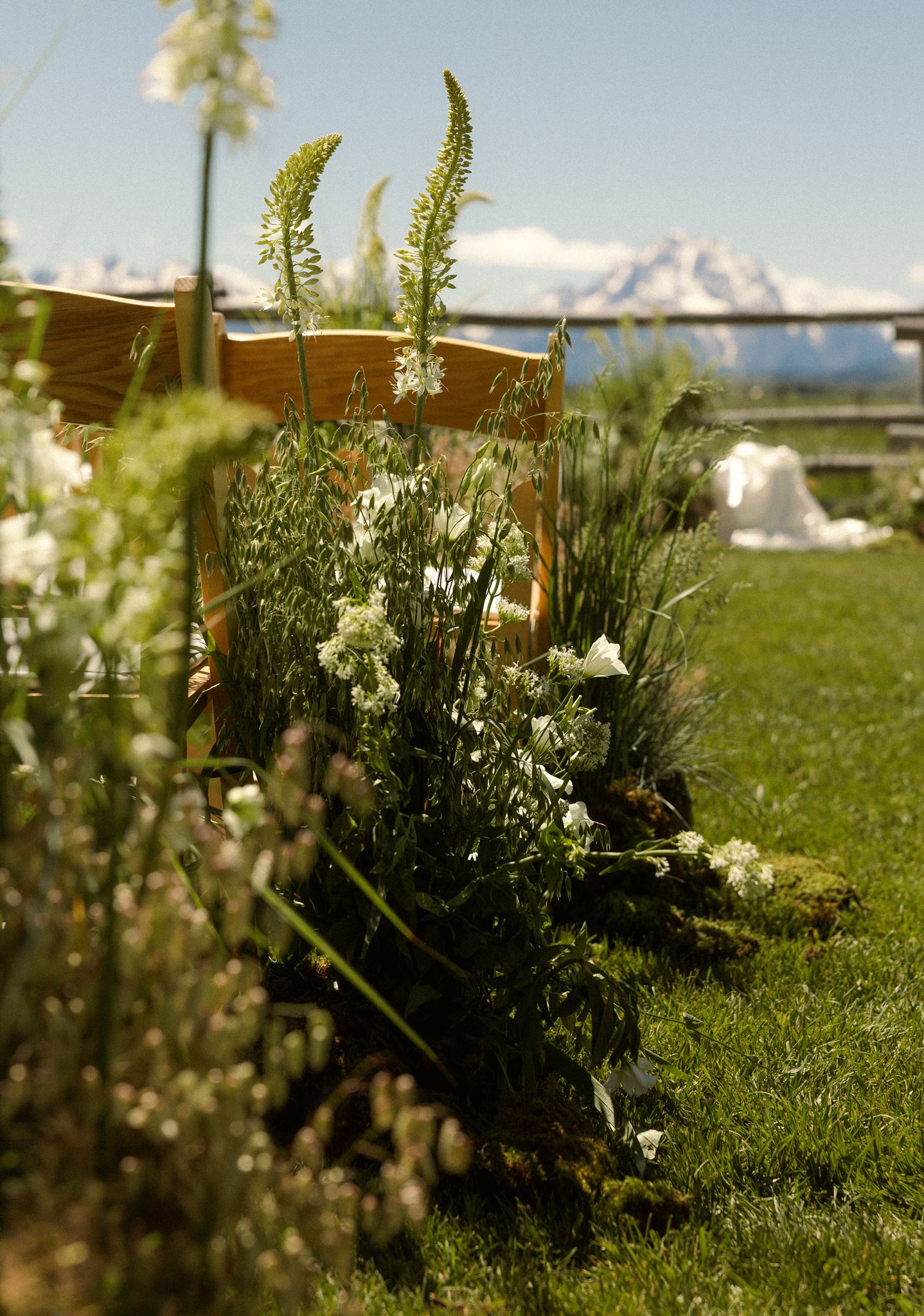 Ceremony chair adorned with oat grass and white florals